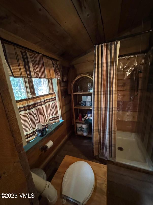 Bathroom, Interior, Wooden Walls