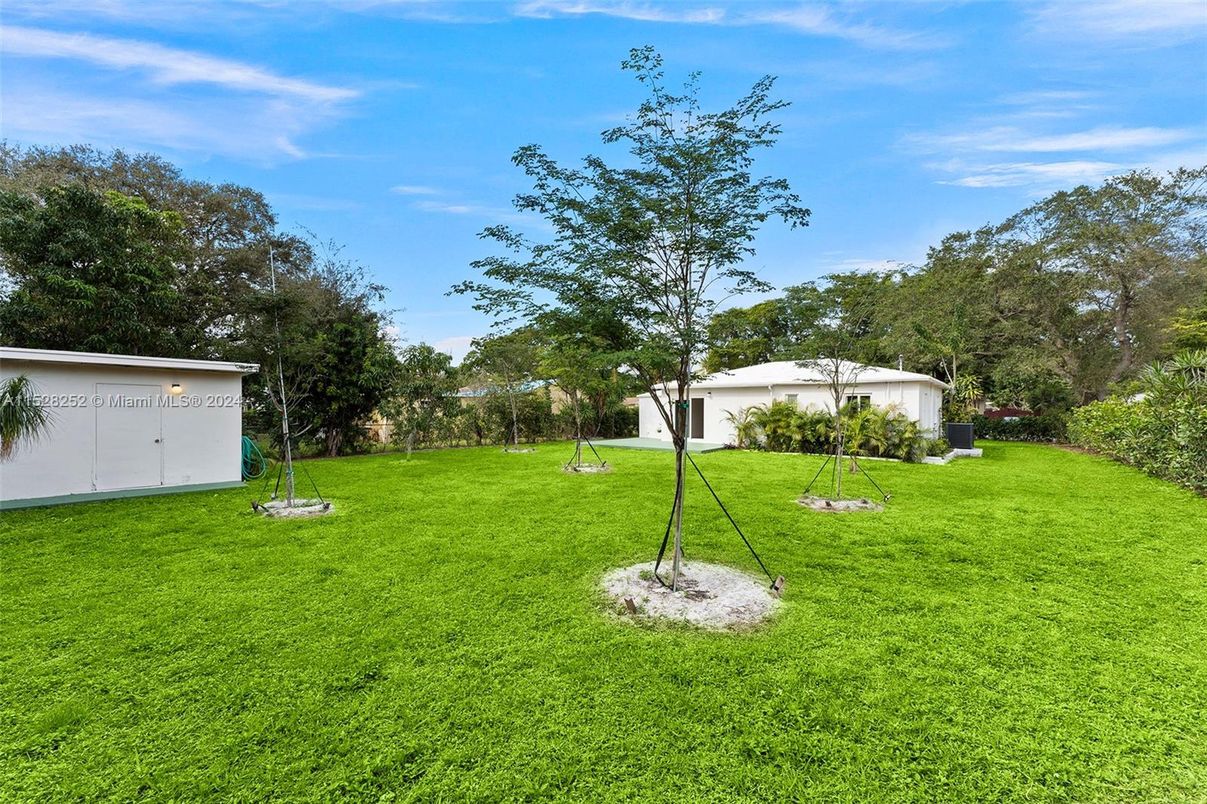 Backyard, Exterior