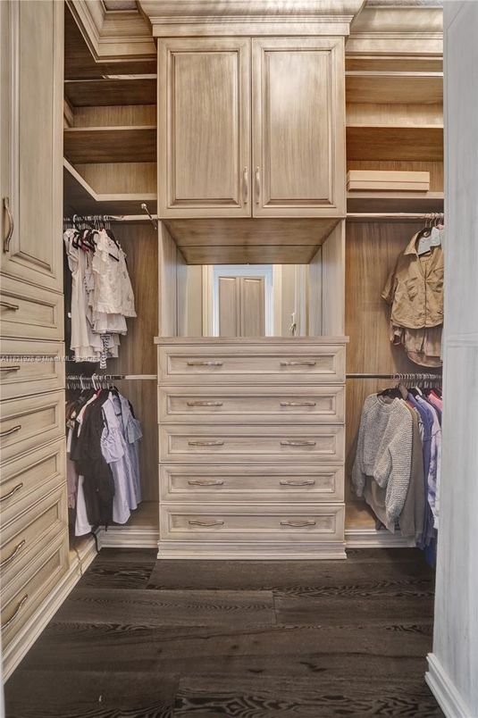 Interior, Walk-in Closets, Wood Texture Flooring