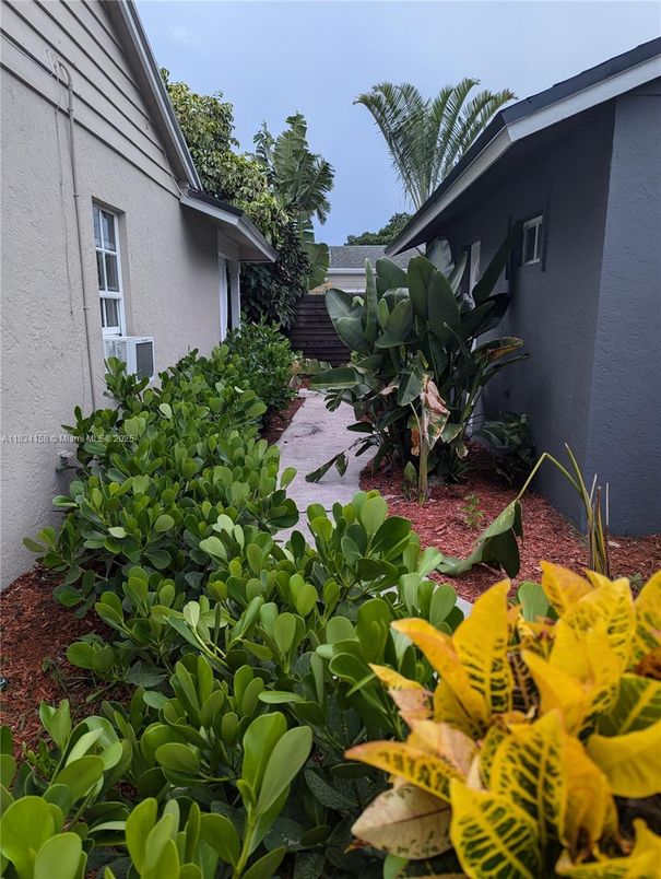 Backyard, Exterior