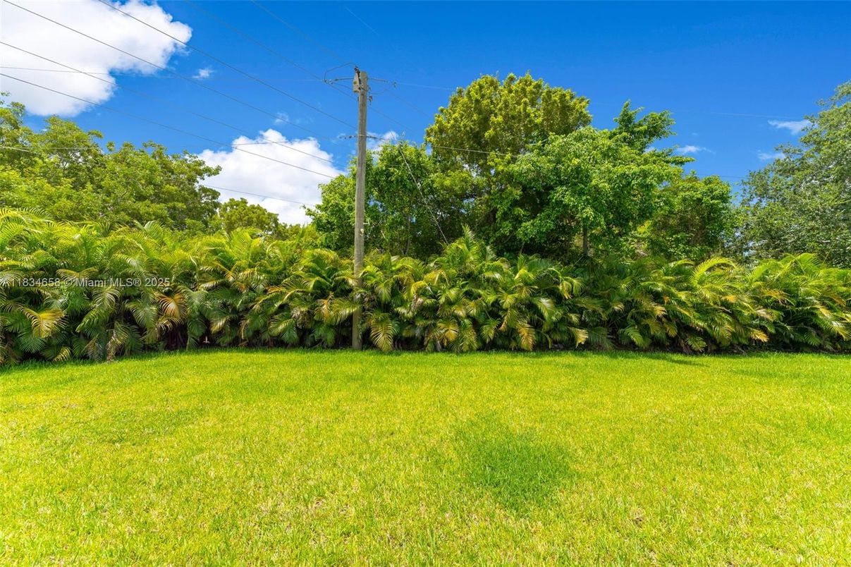 Backyard, Exterior