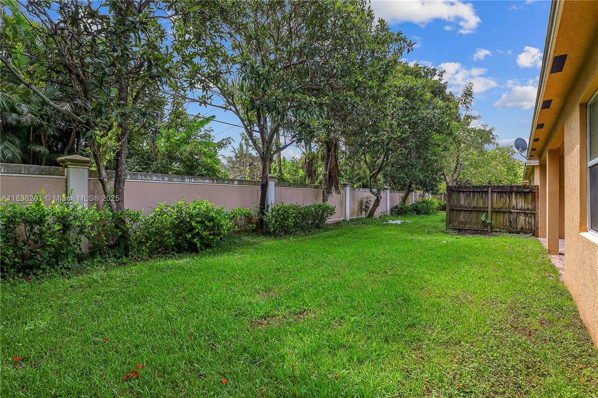 Backyard, Exterior