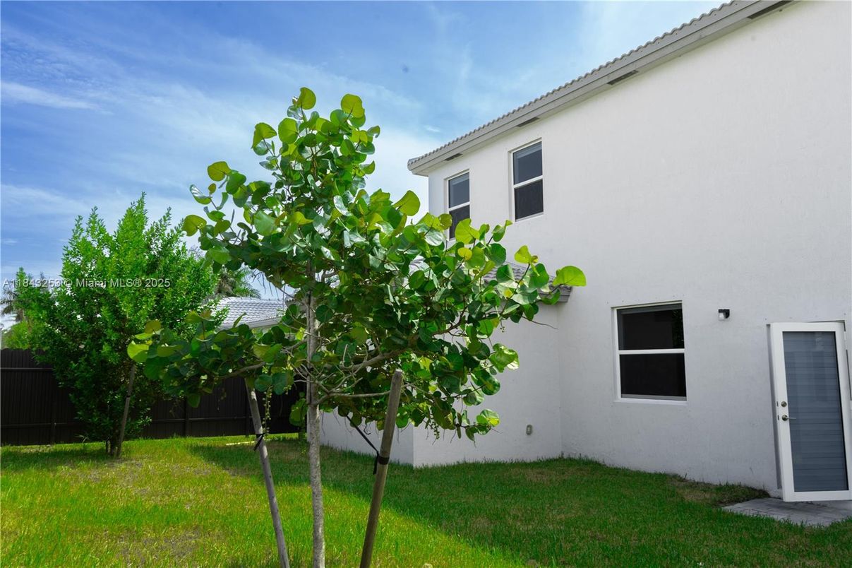 Backyard, Exterior