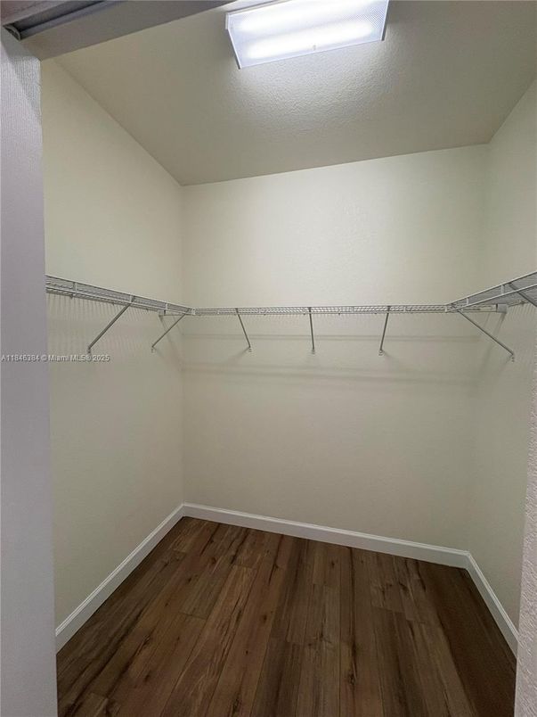 Interior, Walk-in Closets, Wood Texture Flooring