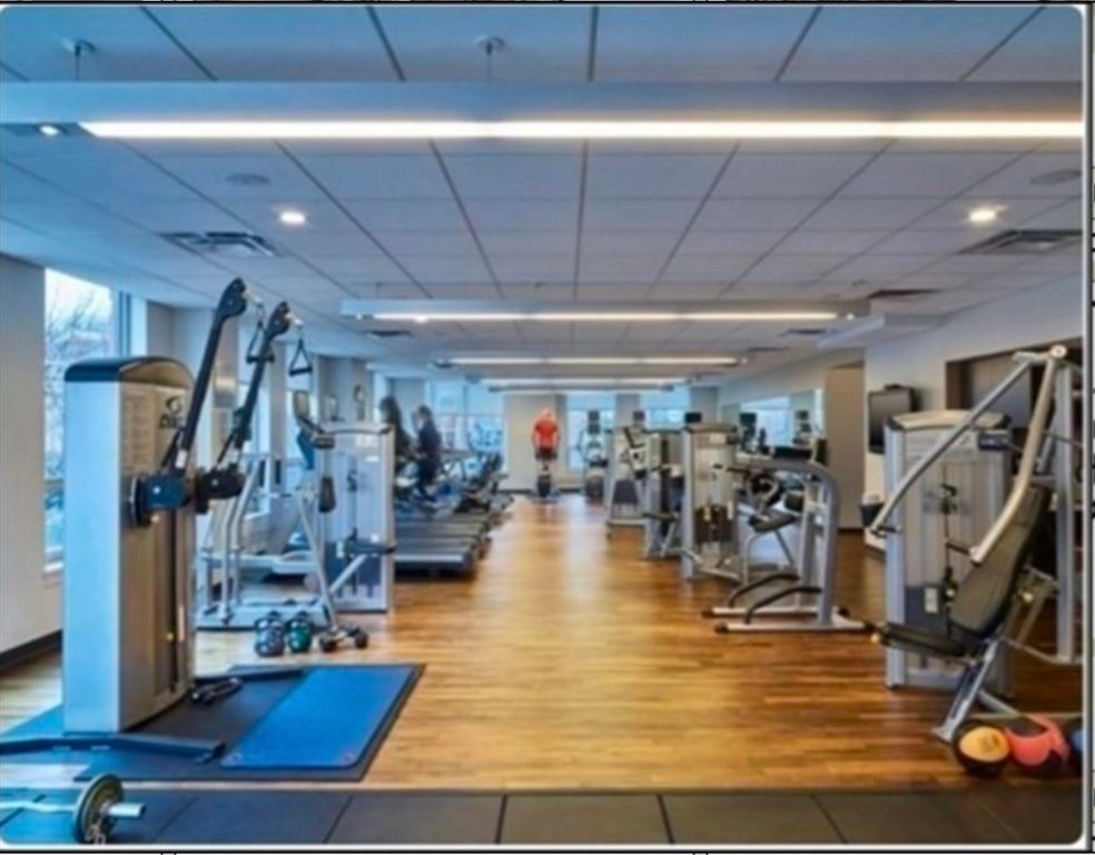 Fitness Equipment, Gym, Interior, Recessed Lighting, Wood Texture Flooring