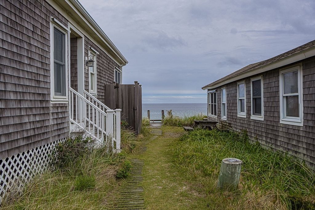 Backyard, Exterior, Water