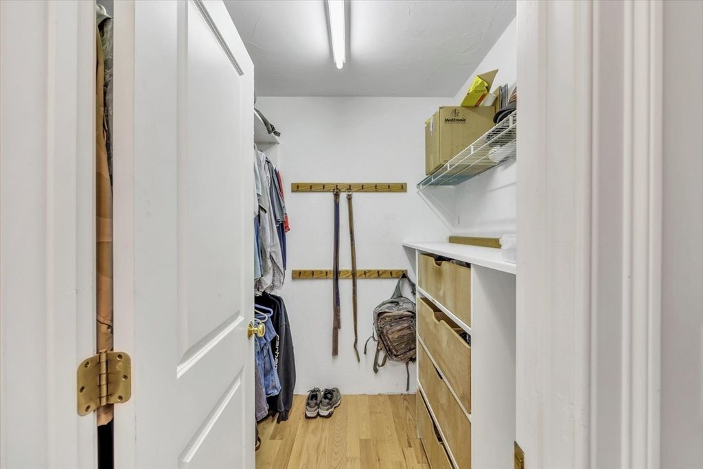 Interior, Walk-in Closets, Wood Texture Flooring