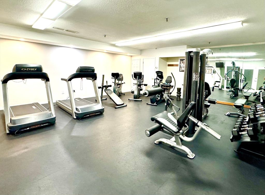 Fitness Equipment, Gym, Interior, Recessed Lighting