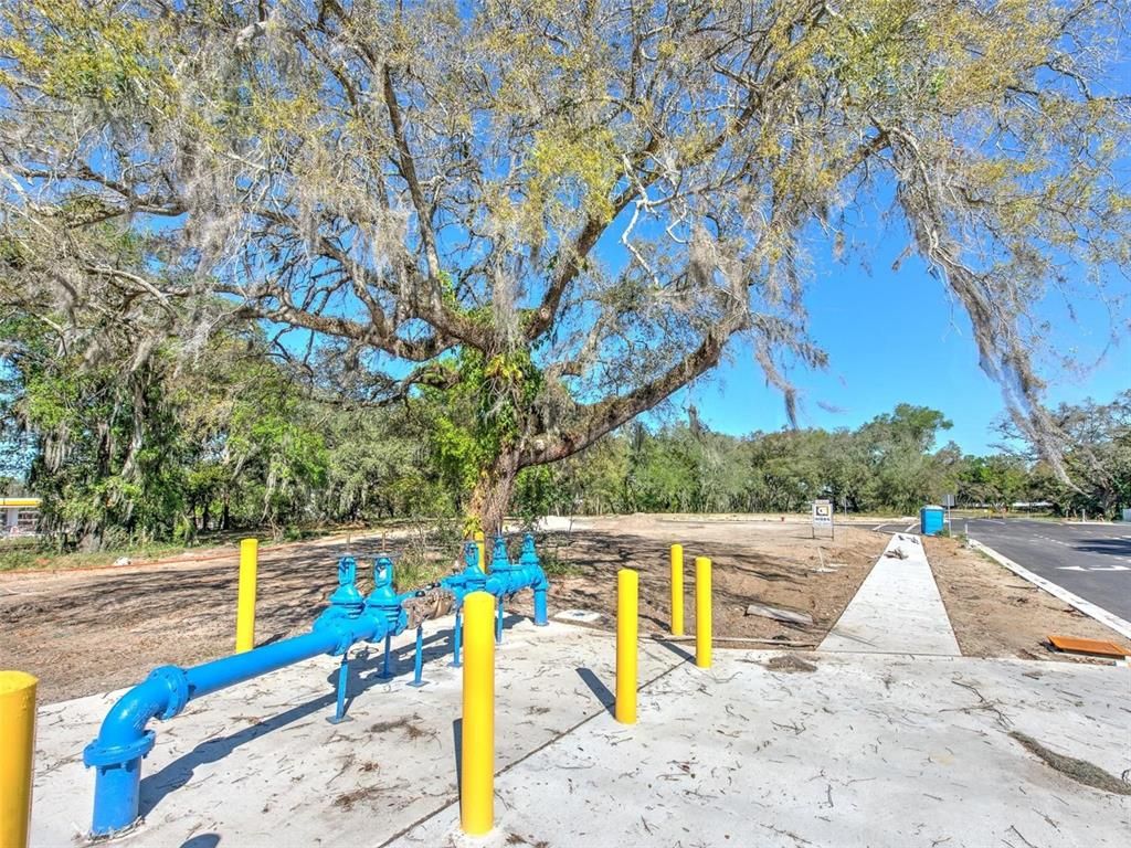 Backyard, Exterior, Playground