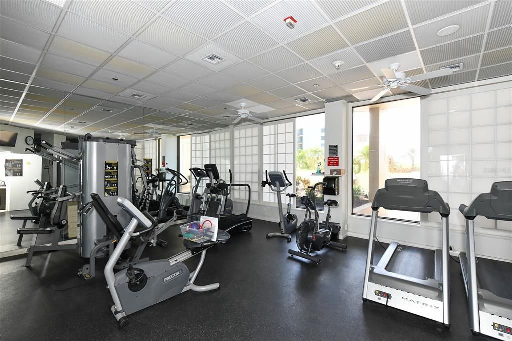 Fitness Equipment, Gym, Interior, Recessed Lighting