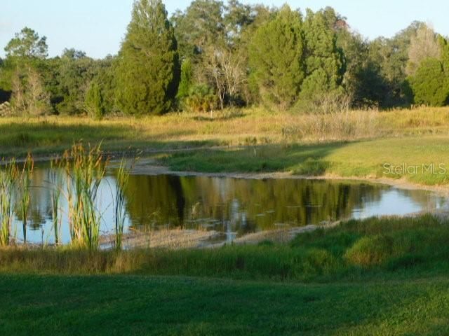 Exterior, Lake