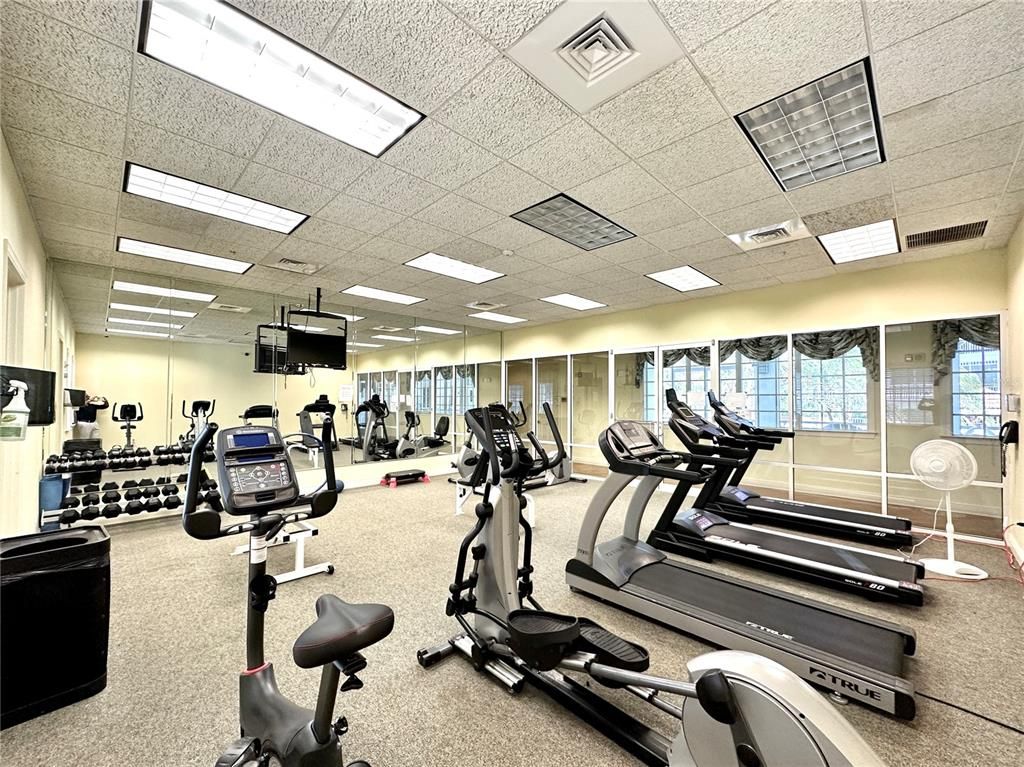 Fitness Equipment, Gym, Interior, Recessed Lighting
