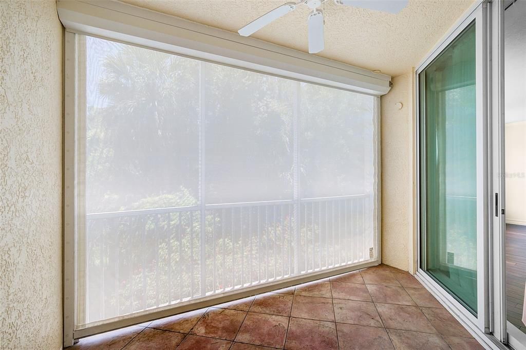 Empty room, Interior, Sun Room