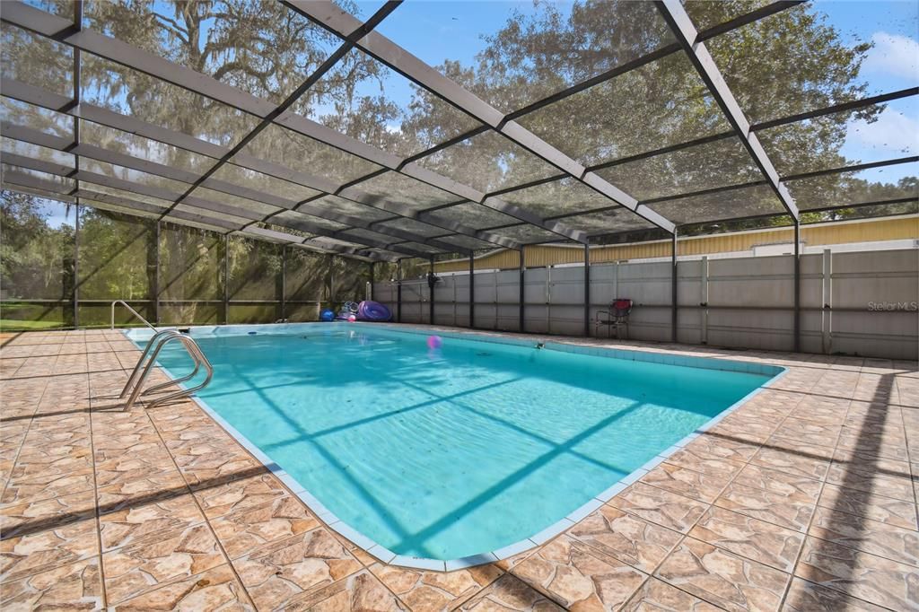 Glass Ceilings, Interior, Pool, Sun Room