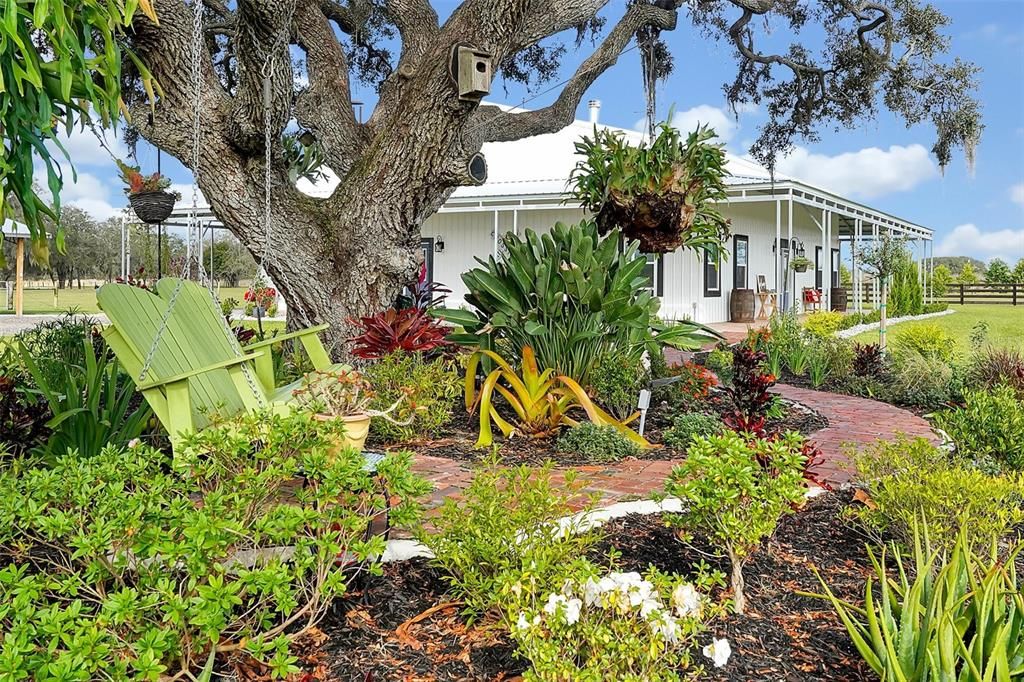 Backyard, Exterior