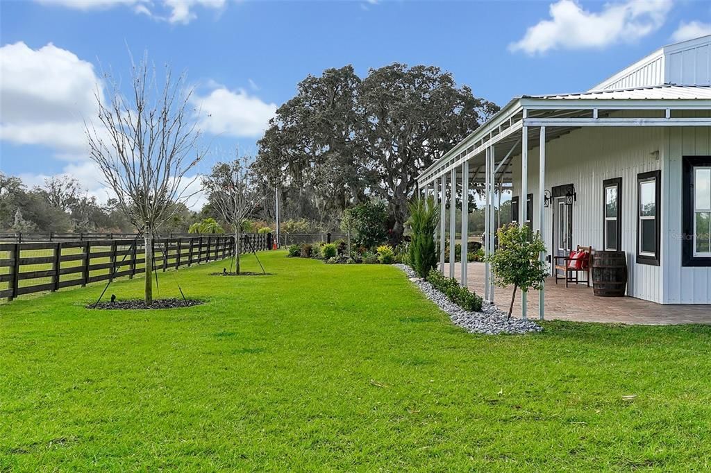 Backyard, Exterior