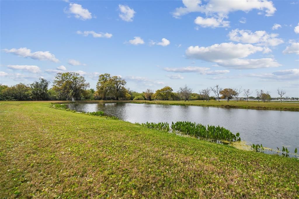 Exterior, Lake
