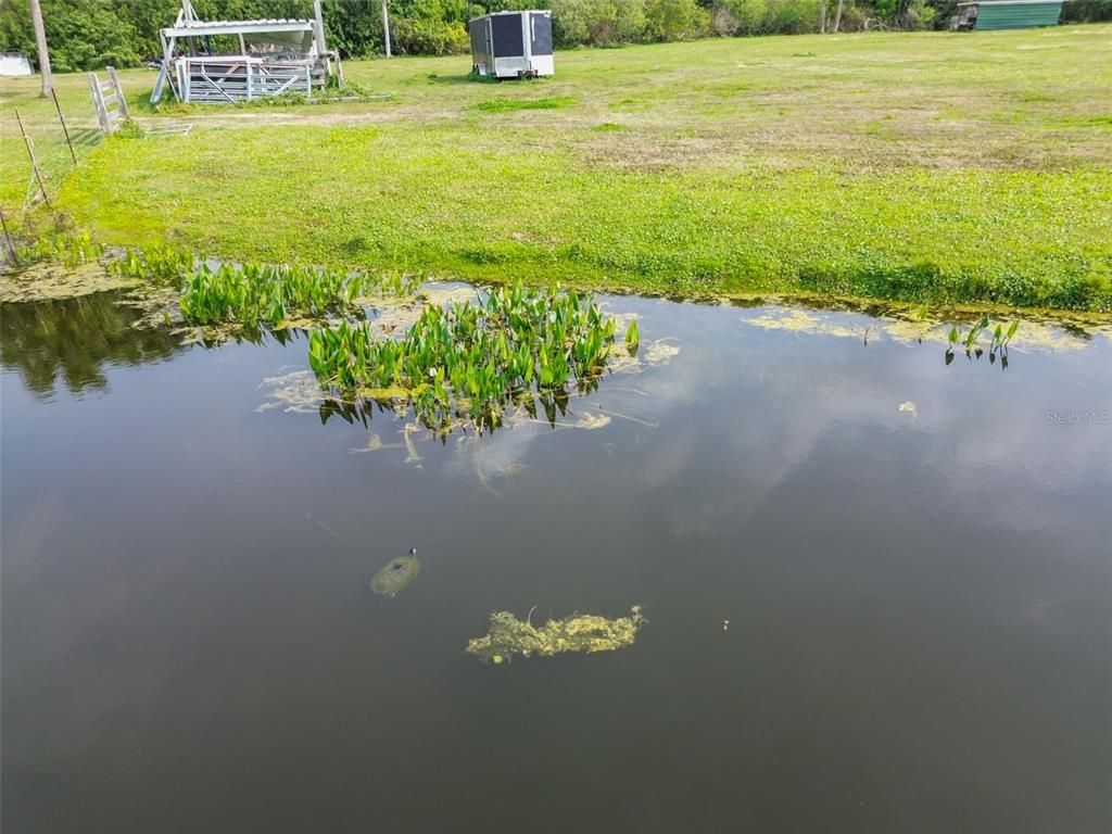 Exterior, Lake