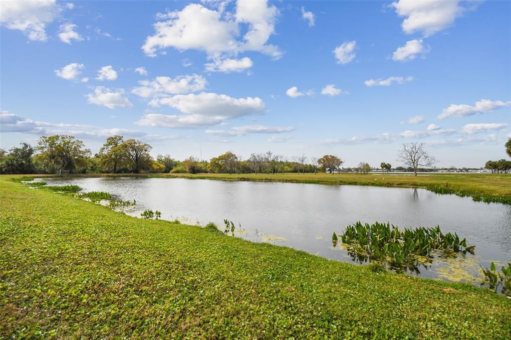 Exterior, Lake