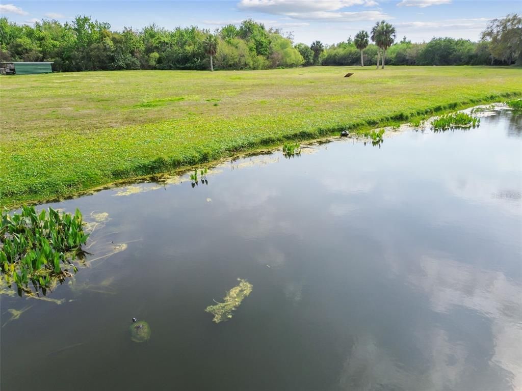 Exterior, Lake