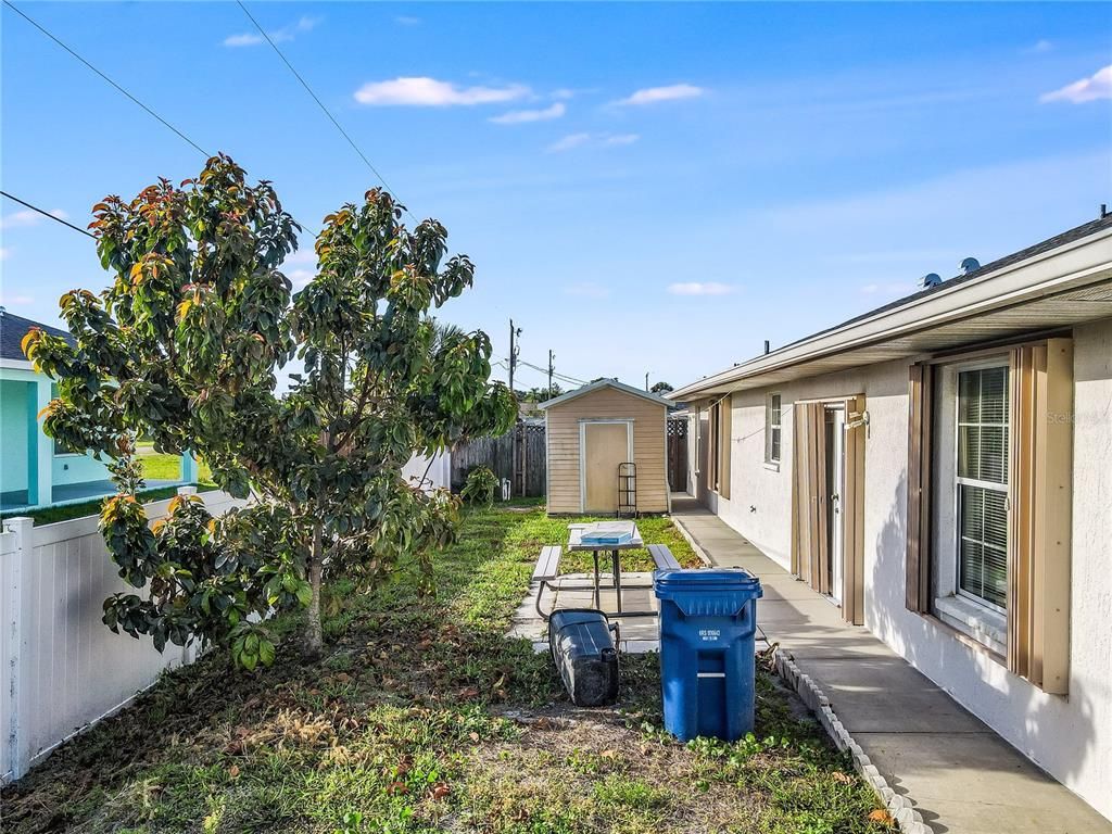 Backyard, Exterior