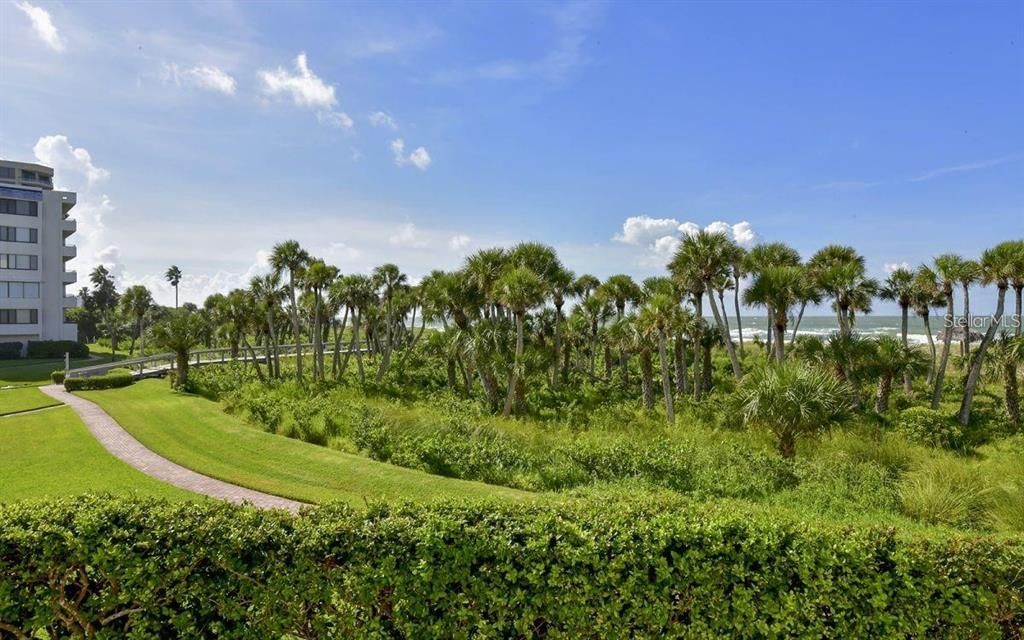 Backyard, Exterior, Water
