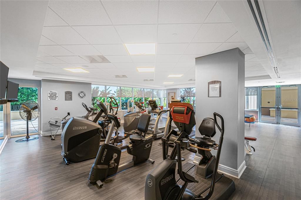 Fitness Equipment, Gym, Interior, Recessed Lighting, Wood Texture Flooring