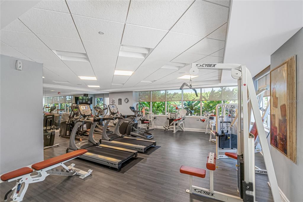 Fitness Equipment, Gym, Interior, Recessed Lighting, Wood Texture Flooring