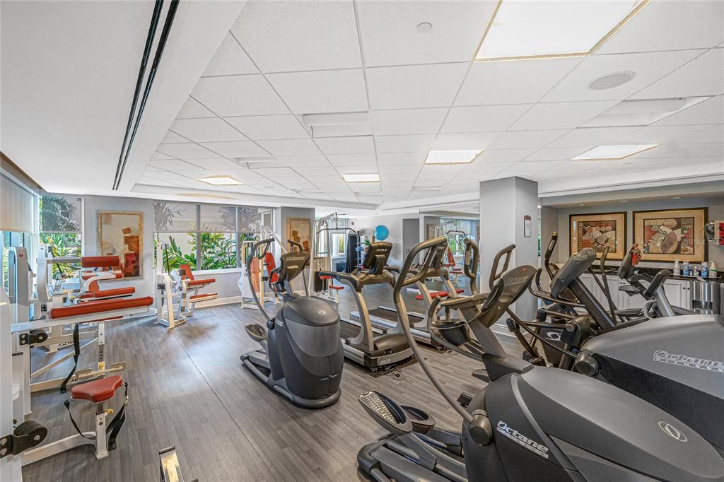 Fitness Equipment, Gym, Interior, Recessed Lighting, Wood Texture Flooring