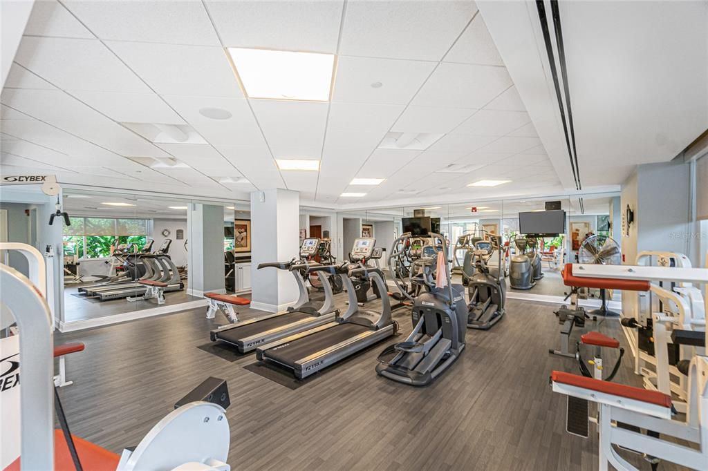 Fitness Equipment, Gym, Interior, Recessed Lighting, Wood Texture Flooring