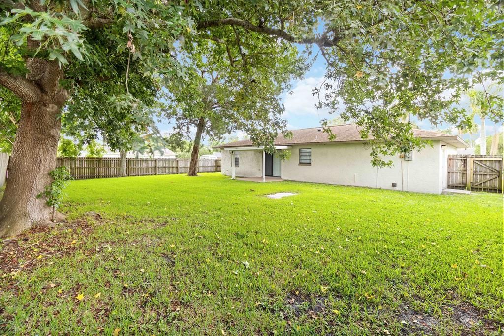Backyard, Exterior