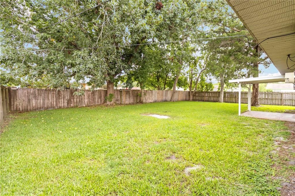 Backyard, Exterior