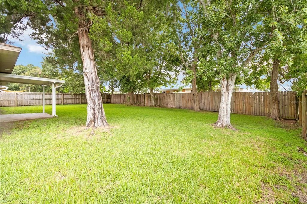 Backyard, Exterior