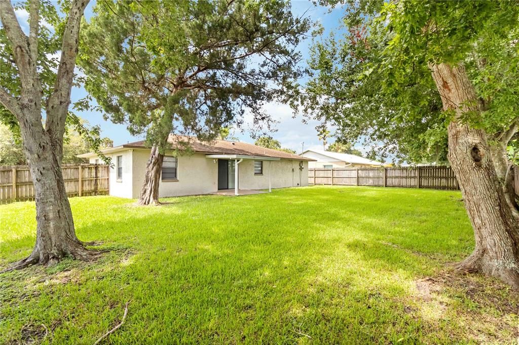 Backyard, Exterior
