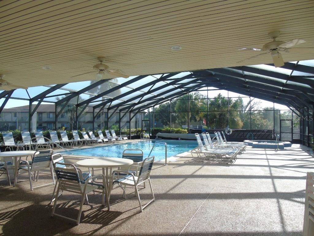 Glass Ceilings, Interior, Pool, Sun Room