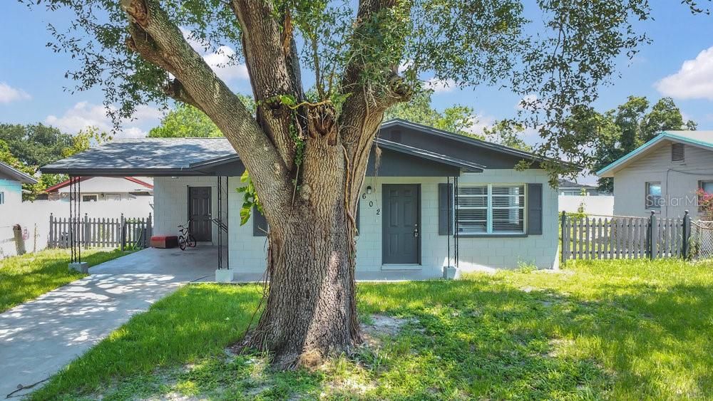 Backyard, Exterior, Facade, Ranch