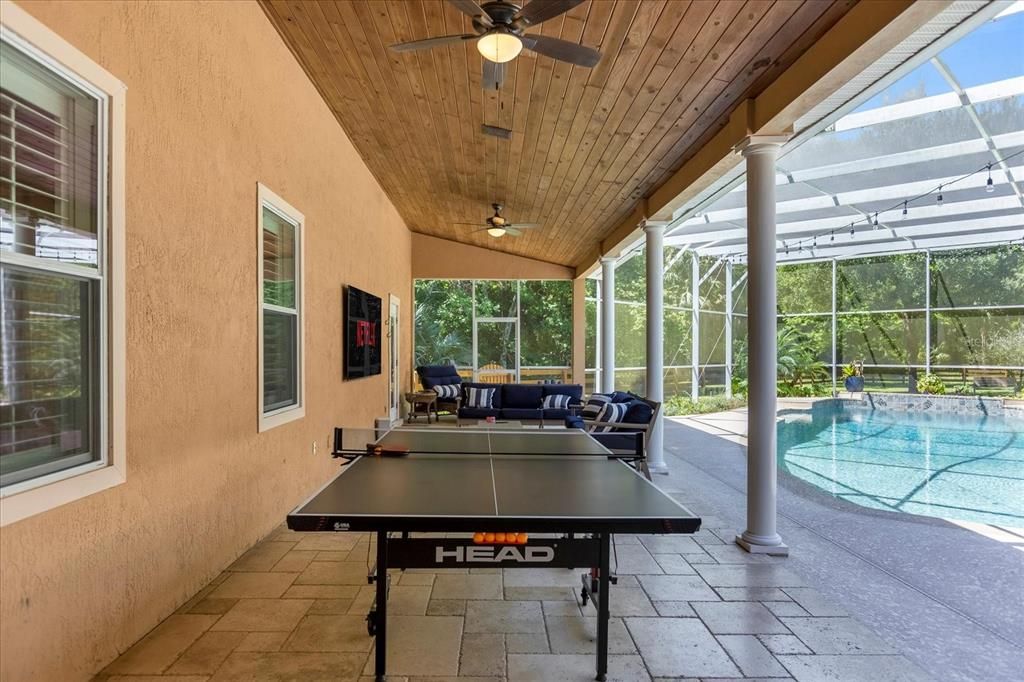 Glass Ceilings, Interior, Pool, Sun Room, Wooden Ceilings