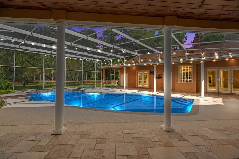 Glass Ceilings, Interior, Pool, Sun Room, Wooden Ceilings