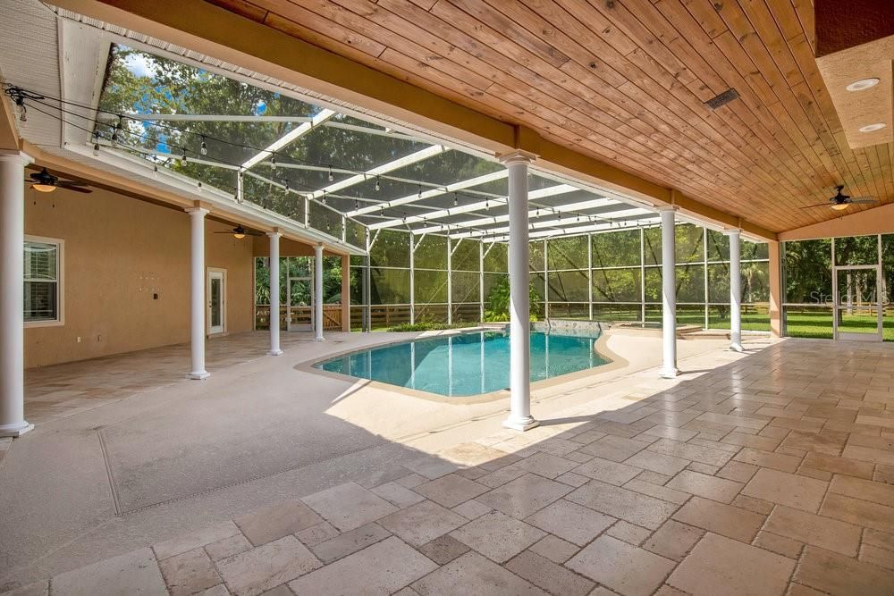 Glass Ceilings, Interior, Pool, Sun Room, Wooden Ceilings