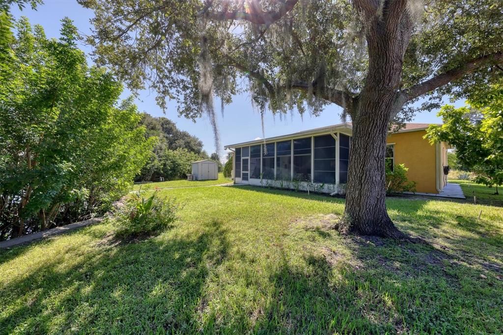 Backyard, Exterior