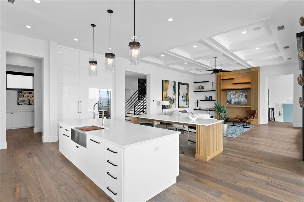 Interior, Kitchen, Living room, Pendant Lights, Recessed Lighting, Wood Texture Flooring