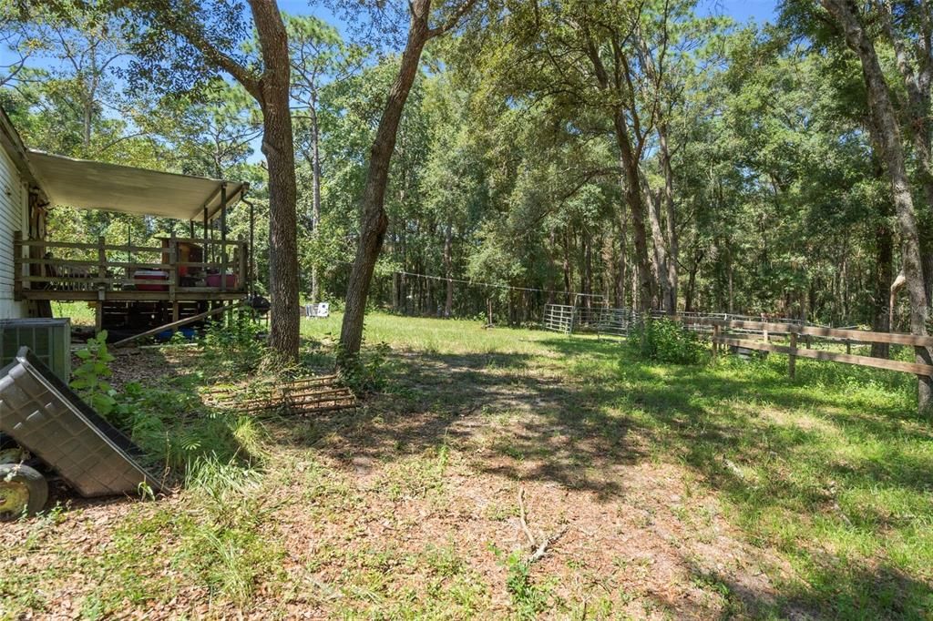 Backyard, Exterior