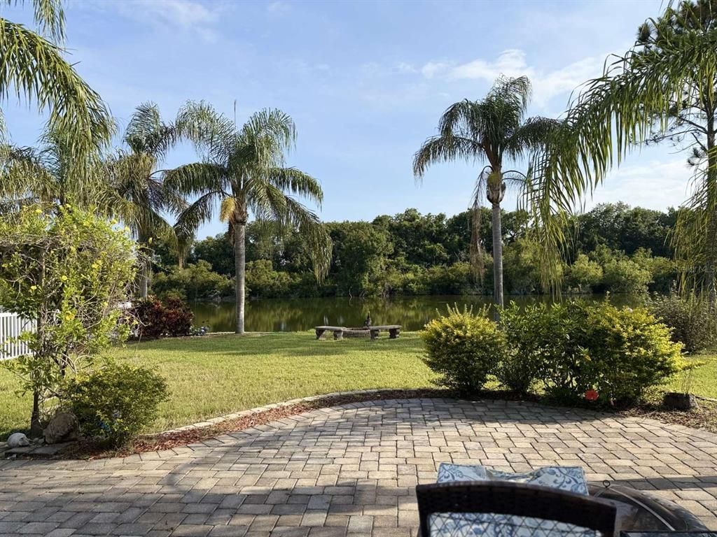 Backyard, Exterior, Water