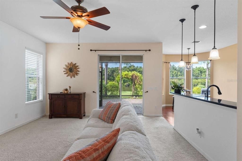 Interior, Living room, Pendant Lights, Recessed Lighting