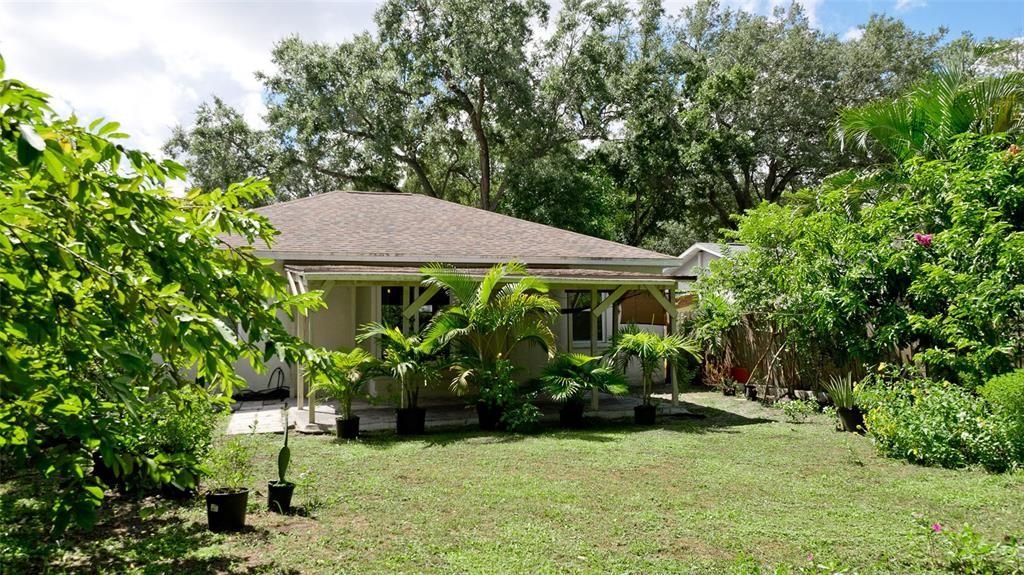 Backyard, Exterior