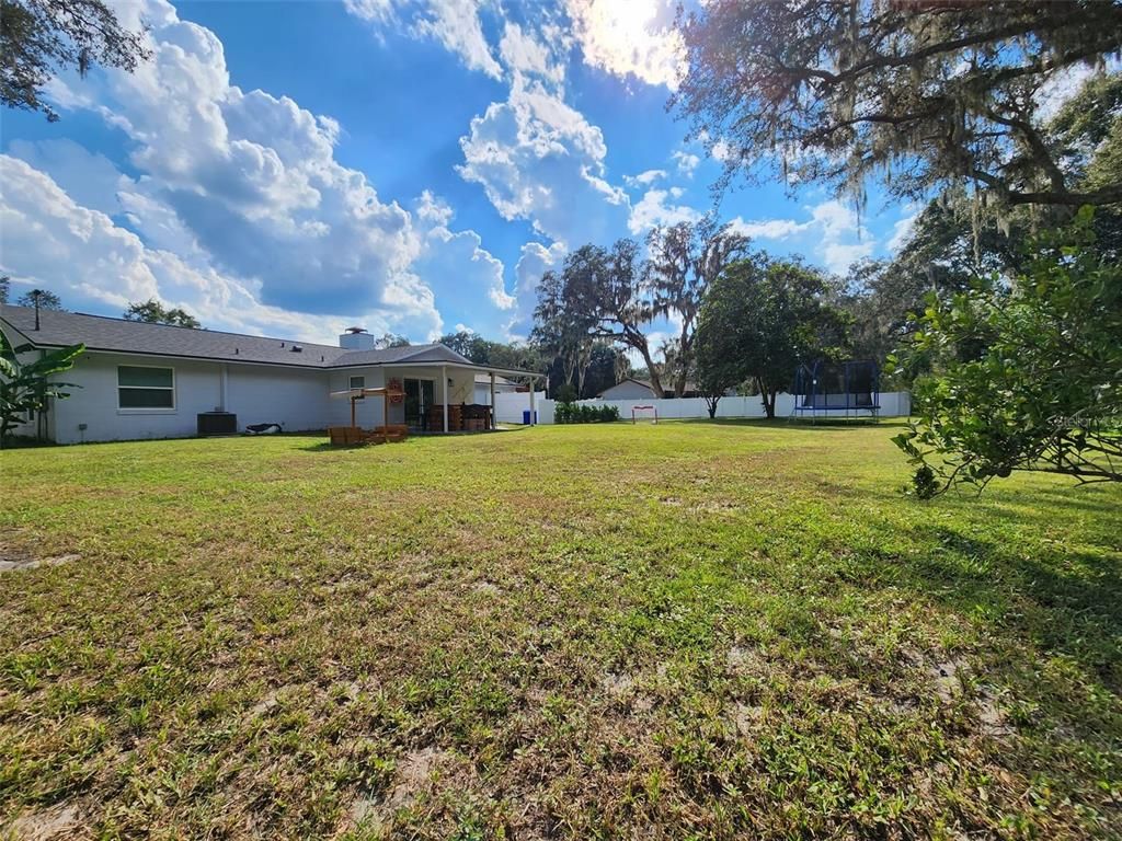 Backyard, Exterior, Playground