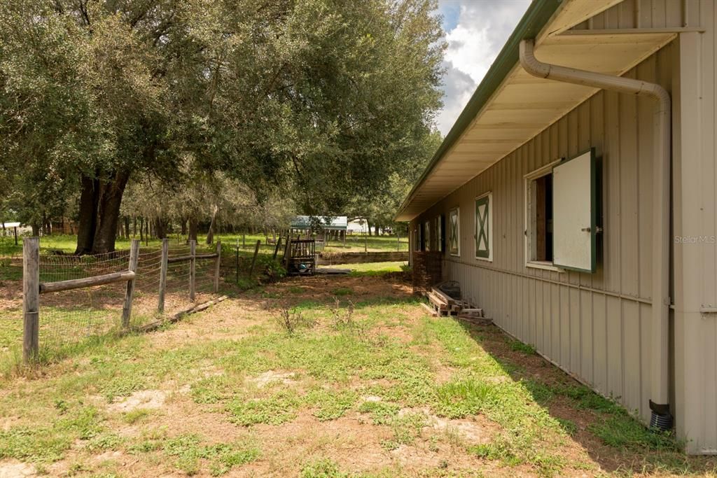 Backyard, Exterior