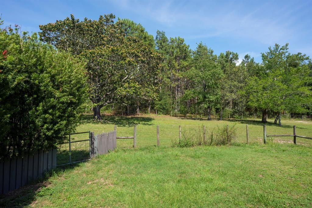 Backyard, Exterior