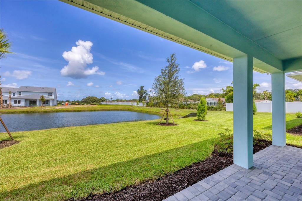 Backyard, Exterior, Water