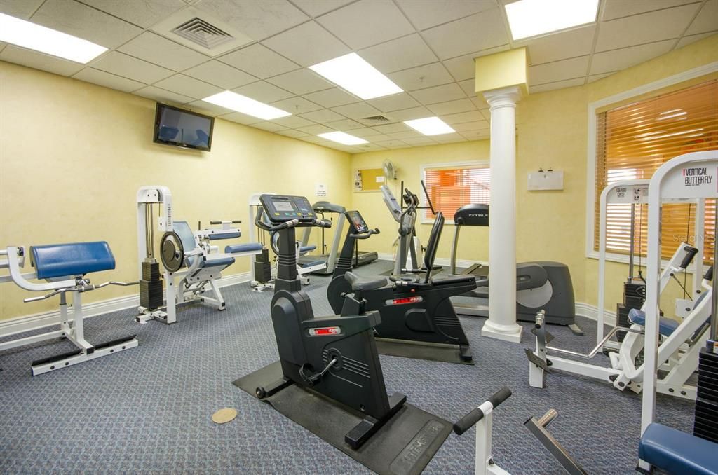 Fitness Equipment, Gym, Interior, Recessed Lighting